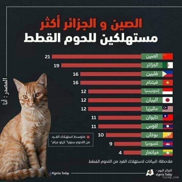 ما هي الدولة التي لم تُغزَ قط؟ أساطير الجغرافيا وحصانة السيادة