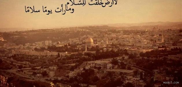 ما هي الكلمات القليلة عن السلام؟ صرخة هادئة في عالم يضج بالضجيج