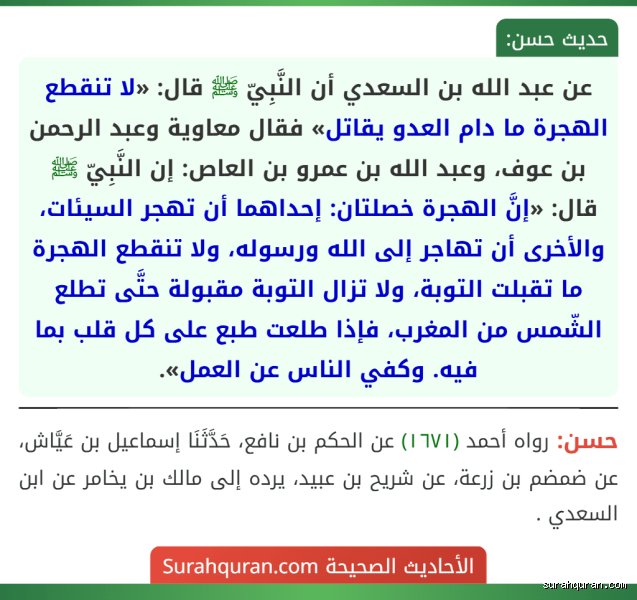 ما هي الهجرة التي لم تنقطع؟ تاريخ يتحرك تحت جلودنا