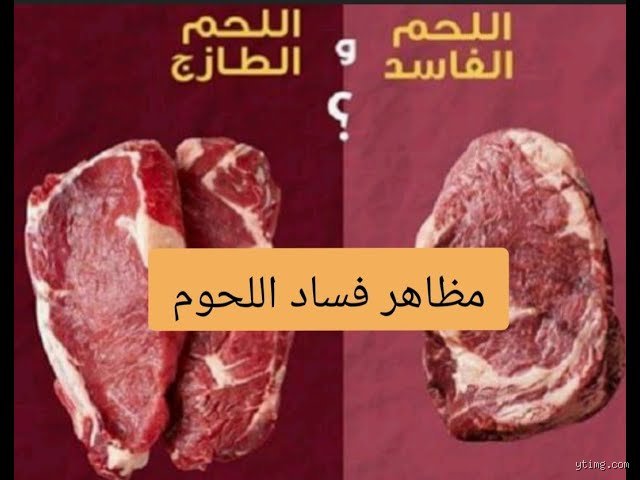 ما هي علامات الفساد؟ خريطة الطريق لكشف التلاعب المخفي