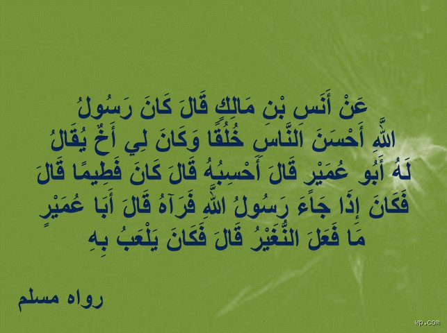 ماذا قال الرسول عن أحسن الناس؟ تفكيك المفهوم النبوي لخيرية البشر