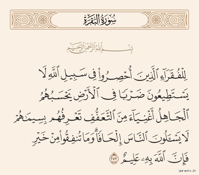 ماذا يقول القرآن عن الفقراء؟ ثورة التكافل التي سبقت نظريات العقد الاجتماعي