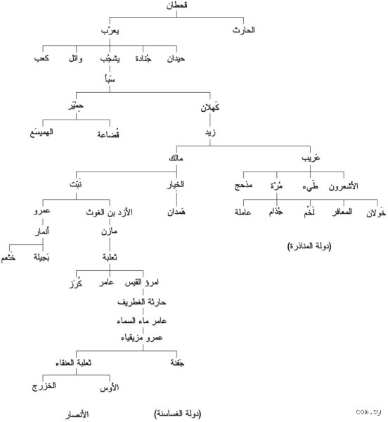 من هي القبيلة التي هزمت قحطان؟ تفكيك الأسطورة والتاريخ في صراعات الجزيرة العربية