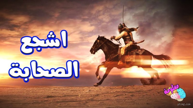 من هو أشجع المسلمين؟ الحقيقة الكاملة وراء أسطورة الثبات في وجه الموت