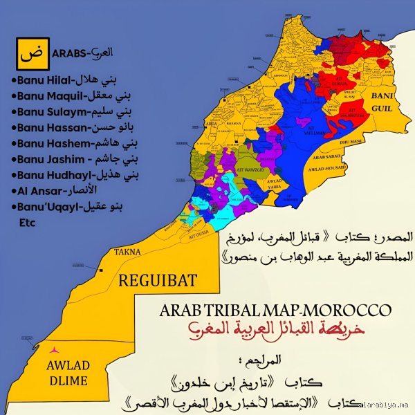 هل أصل المغرب عرب؟ تفكيك شفرة الهوية بين الجينات والتاريخ