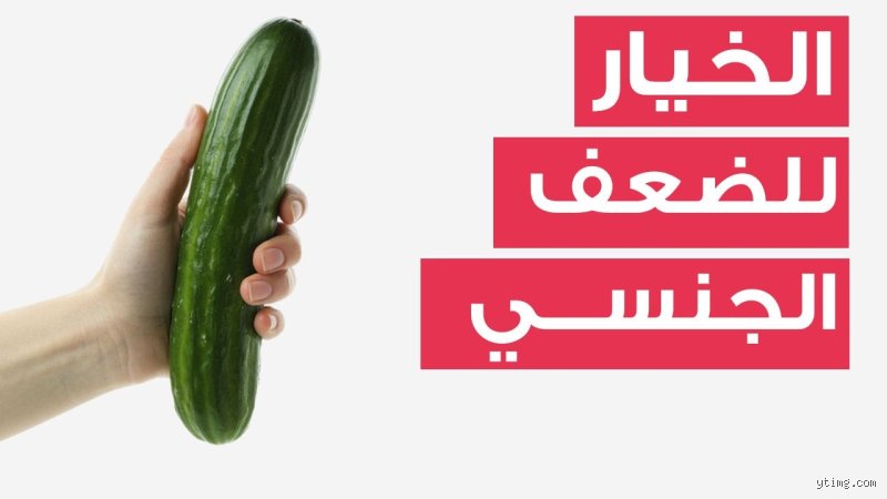 هل الخيار يعالج ضعف الانتصاب؟ حقيقة الفاكهة المظلومة التي تحولت إلى تريند طبي