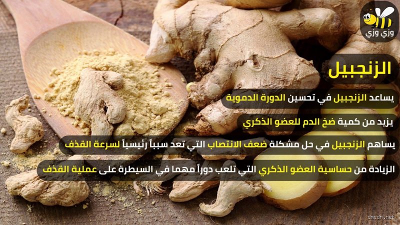 هل الزنجبيل يعالج القذف السريع؟ حقيقة الطب الشعبي أمام مشرط العلم