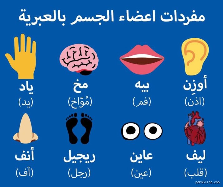 هل اللغة العبرية سهلة أم صعبة؟ فك شفرة "لغة القيامة" وتحدياتها