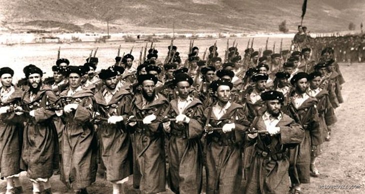 هل شارك المغرب في الحرب العالمية الثانية؟ حقائق لم تروها كتب التاريخ المدرسية