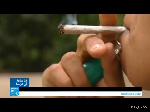 هل مسموح تدخين الحشيش في فرنسا؟ دليلك لفهم الفوضى القانونية في باريس