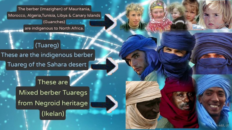 هل يُعتبر البربر من العرق القوقازي؟ تفكيك اللغز الأنثروبولوجي الأمازيغي
