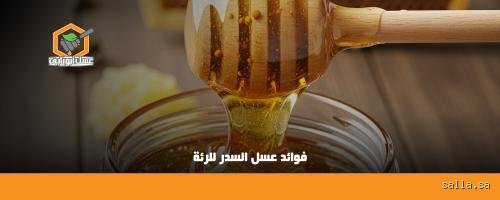 ما هو أفضل عسل لتنظيف الرئة؟ الحقيقة وراء شفاء الجهاز التنفسي بالذهب السائل