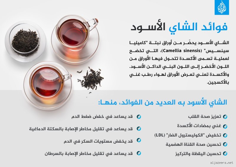 هل الشاي مفيد للرئتين؟ الحقيقة التي تتجاهلها الأبحاث