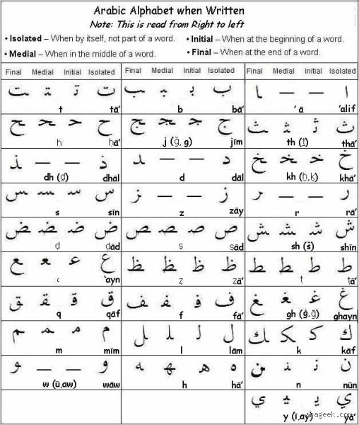 أي لغة عربية هي الأصعب فهماً؟ لغز الهويات الضائعة بين الفصحى والدوارج