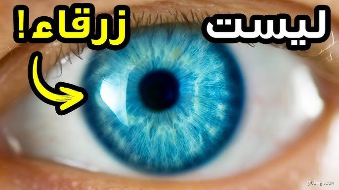أي نبي له عيون زرقاء؟ الحقيقة بين المرويات التاريخية والدهشة الشعبية