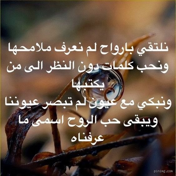 أجمل ما قيل في عشق الروح: حين تتلعثم الأبدان وتتحدث الأسرار