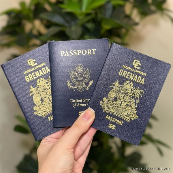 ما هو جواز السفر الذهبي؟ الطريق السريع نحو المواطنة عبر الاستثمار