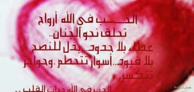 ماذا يقول الله عن الحب الرومانسي؟ لغز العاطفة بين النصوص المقدسة وضجيج المشاعر