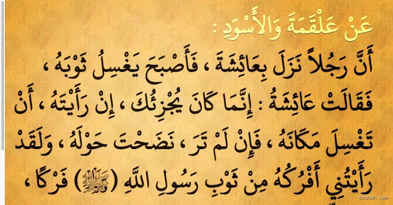 من هو الرجل الذي نزل بعائشة في حديث صحيح مسلم؟ كشف لغز ضيف أم المؤمنين