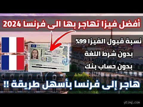 ما هي نسبة قبول فيزا فرنسا للجزائريين في عام 2026؟ الحقيقة الصادمة خلف الأرقام