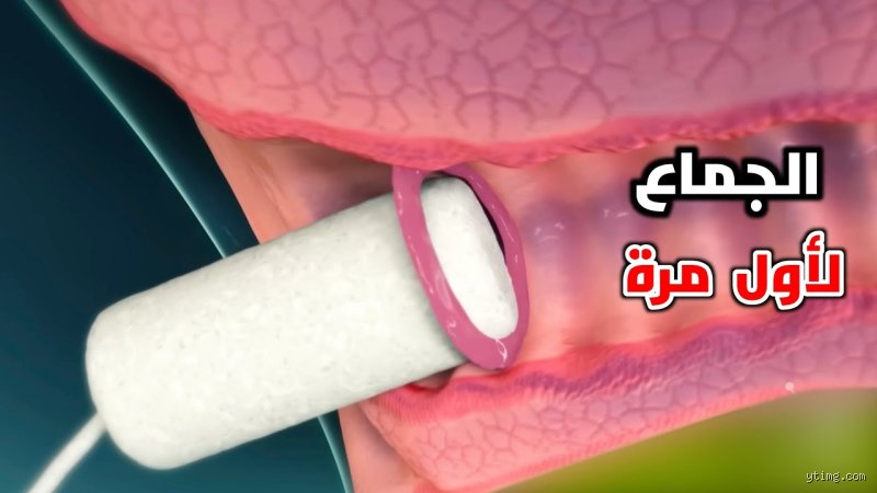 هل الإدخال أول مرة مؤلم؟ الحقائق التي لا يخبرك بها أحد