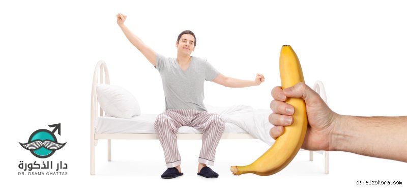 هل الانتصاب الصباحي دليل على سلامة الخصيتين؟ إليك الحقيقة الطبية الصادمة