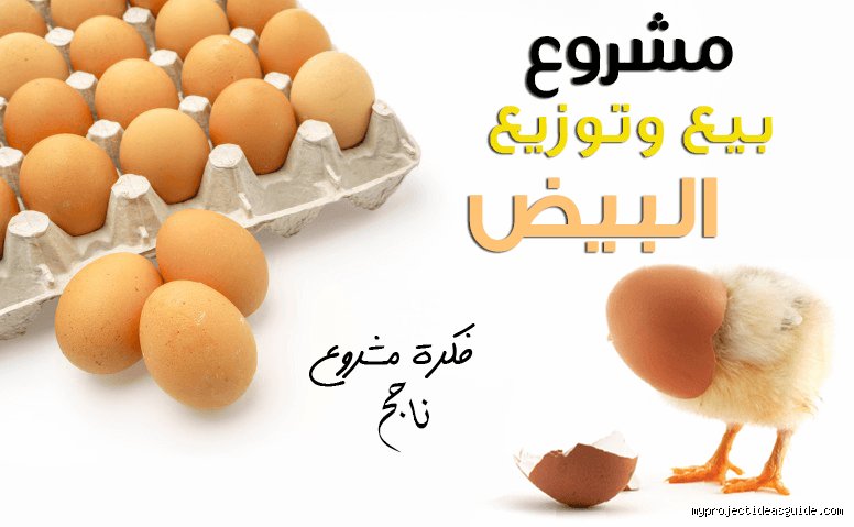 هل بيع البيض مربح؟ الحقيقة الكاملة وراء تجارة الذهب الأبيض