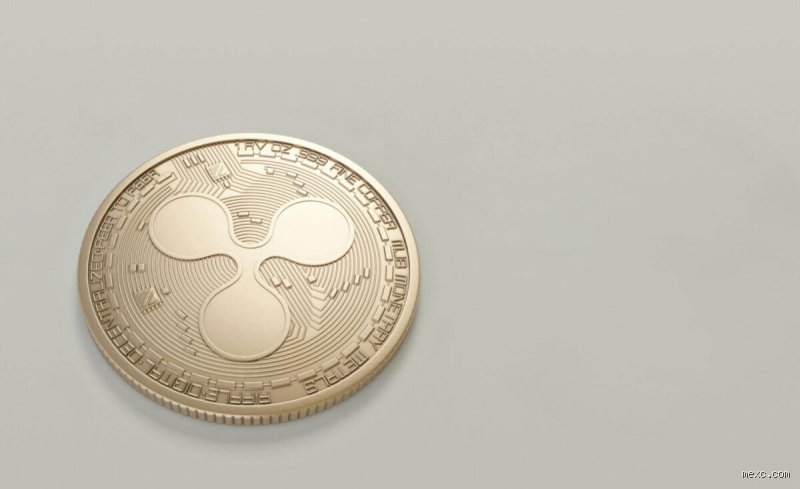هل يُعدّ XRP استثمارًا جيدًا على المدى الطويل؟ تشريح لعملة لا تموت