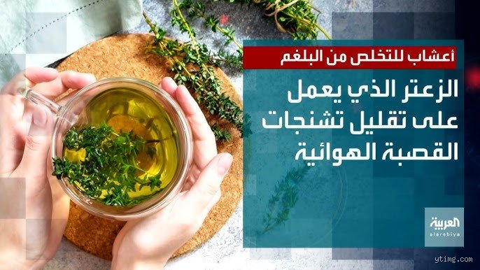 ما هي العشبة التي تنظف البلغم؟ الدليل الطبي والعملي للتخلص من الاحتقان