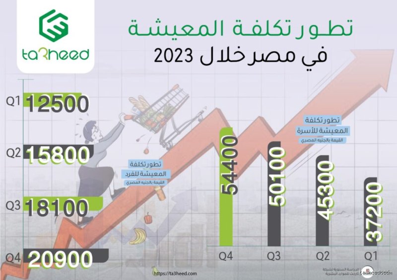 تكلفة الحياة في مصر: رحلة البقاء والرفاهية في سوق متقلب