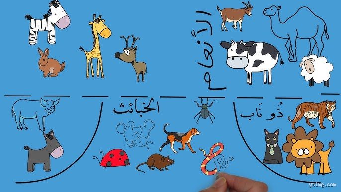 ما هي الأطعمة الخمسة المحرمة؟ كشف الأساطير الغذائية التي تهدد صحتك