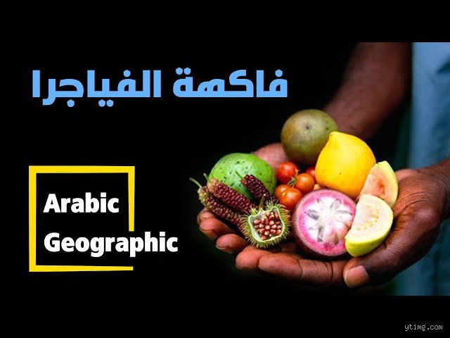 ما هي الفاكهة التي تعادل الفياجرا؟ الحقيقة العلمية وراء بدائل الفياجرا الطبيعية في سوق الخضار
