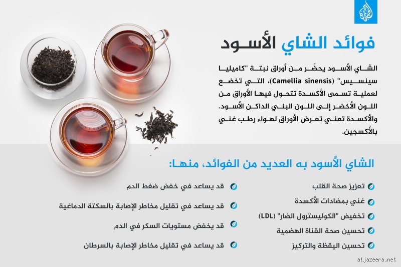 هل الشاي يسبب ضيق التنفس؟ حقيقة الكوب الدافئ الذي قد يربك أنفاسك