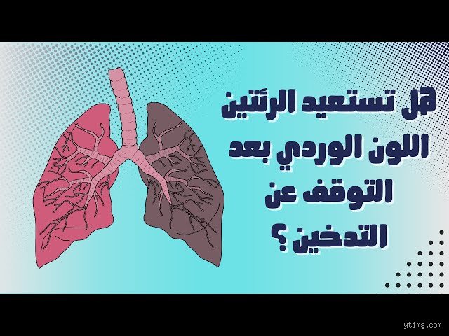 هل تعود رئة المدخن لطبيعتها؟ حقيقة الترميم الذاتي بين الوهم والبيولوجيا