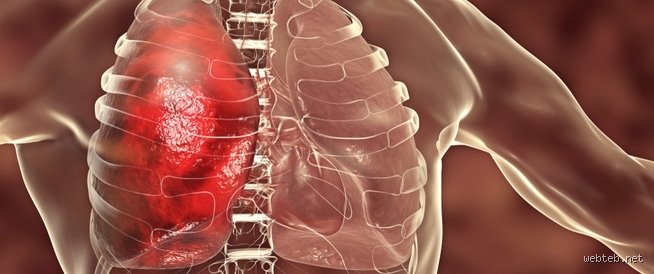 هل يمكن للرئتين أن تشفى بعد الاستنشاق؟ رحلة التعافي بين وهم العودة والقدرات البيولوجية