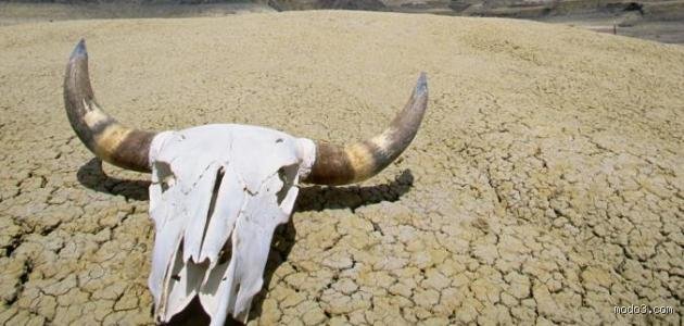 في أي بلد تقع صحراء الموت؟ لغز المكان والأسماء المضللة