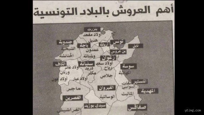 ما هو أكبر عرش في تونس؟ الحكاية بين سطوة التاريخ وأرقام الجغرافيا