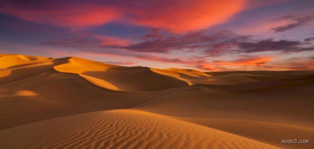 ما هي أنواع الصحاري الثلاثة في العالم؟ كسر الصورة النمطية لرمال النفود والموت الحار