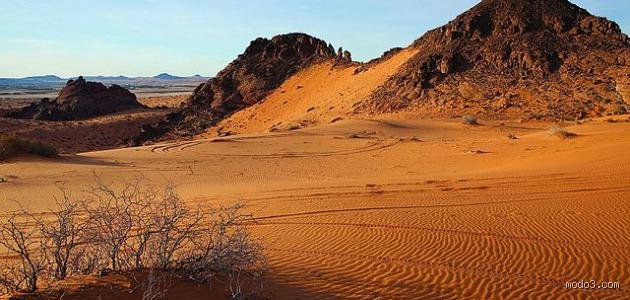 ما هي الدولة العربية التي يوجد بها أكبر صحراء في العالم؟ لغز الرمال الذي يحكمه الجزائر