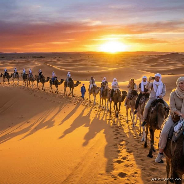 ما هي الصحراء الواقعة بين مراكش وأغادير؟ لغز الأطلس ومفارقة الصمود