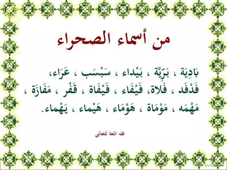 سراب الرمل واللغة: من أسماء الصحراء وما تخفيه وراء الكثبان