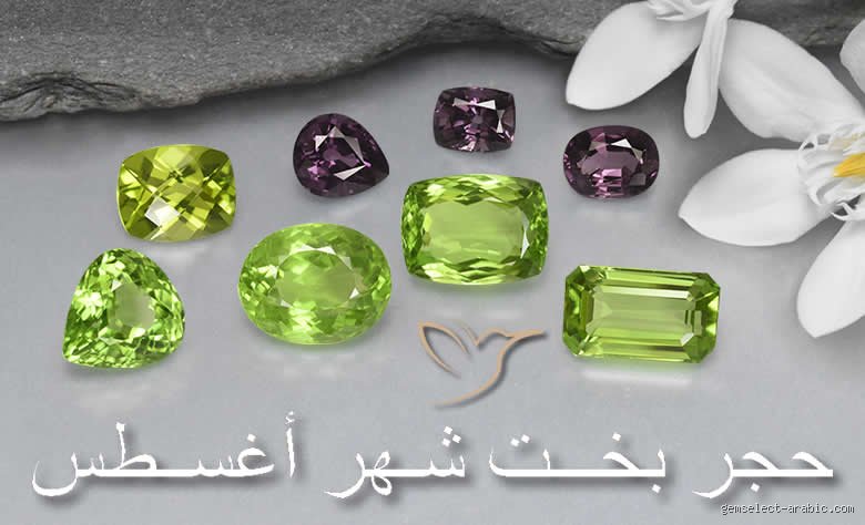 ما الذي يميز شهر أغسطس؟ سحر الصيف المتأخر وفلسفة الأيام الممتدة