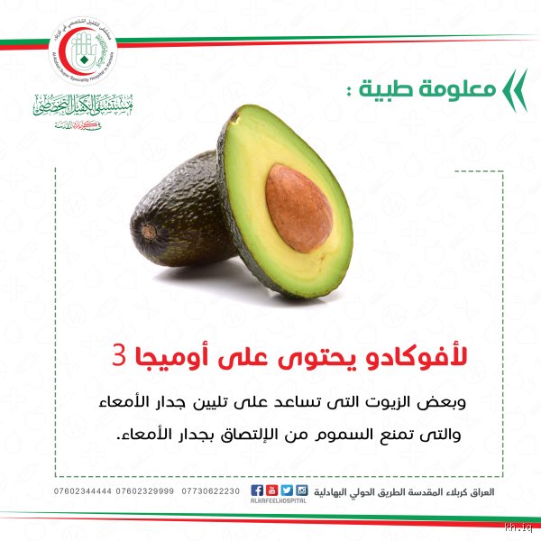 ما معنى كلمة الأفوكادو؟ أسرار لغوية وتاريخية خلف الفاكهة الأشهر