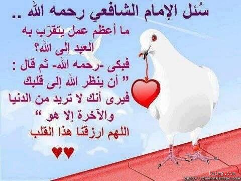 ما هو أكثر عمل يقربك من الله؟ الحقيقة الغائبة بين طقوس العادة وجوهر العبادة