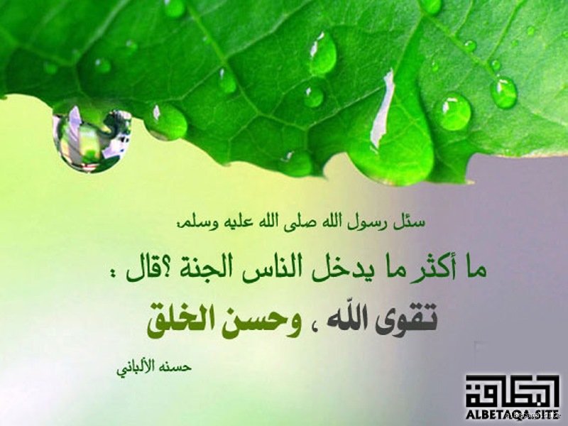 ما هو أكثر ما يدخل الناس الجنة؟ حقائق غائبة وراء السلوك اليومي