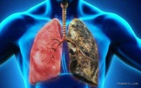 كيف أجعل رئتي قوية؟ دليلك العلمي لاستعادة أنفاسك المفقودة
