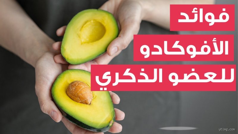 هل الأفوكادو مفيد جنسياً؟ الحقيقة وراء أسطورة شجرة الخصية
