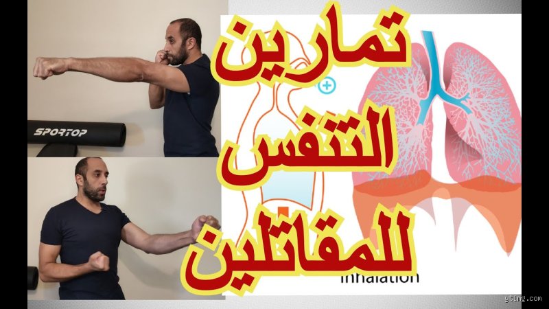 كيف أزيد من قوة التنفس؟ الدليل العملي لتوسيع سعة رئتيك خارج النمط التقليدي
