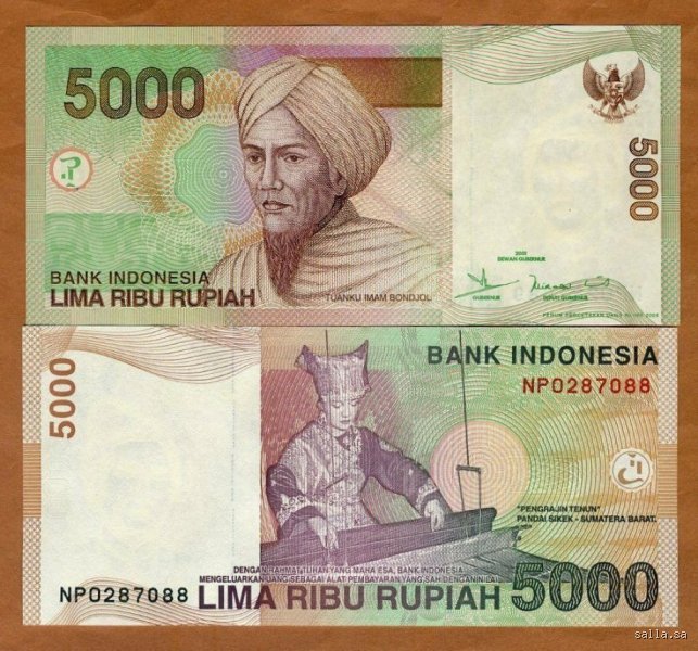 دليل أسعار الصرف وتحويل العملات: كم تعادل 5000 روبية بالريال السعودي؟ (الجزء الأول)