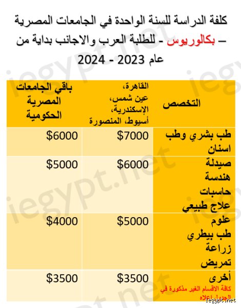هل التمريض دبلوم ولا بكالوريوس؟ فك شفرة المسارات المهنية في 2026